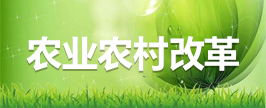 农村改革